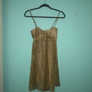 Express mini dress